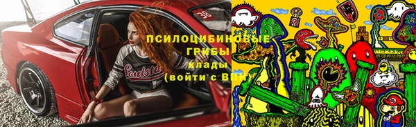 герыч Алексин