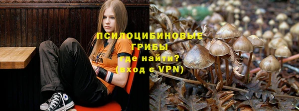 герыч Алексин