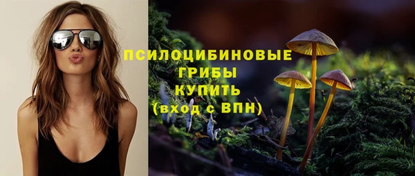 дживик Алзамай