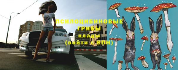 дживик Алзамай